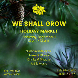 Saturday - December 11, Eco Holiday Market