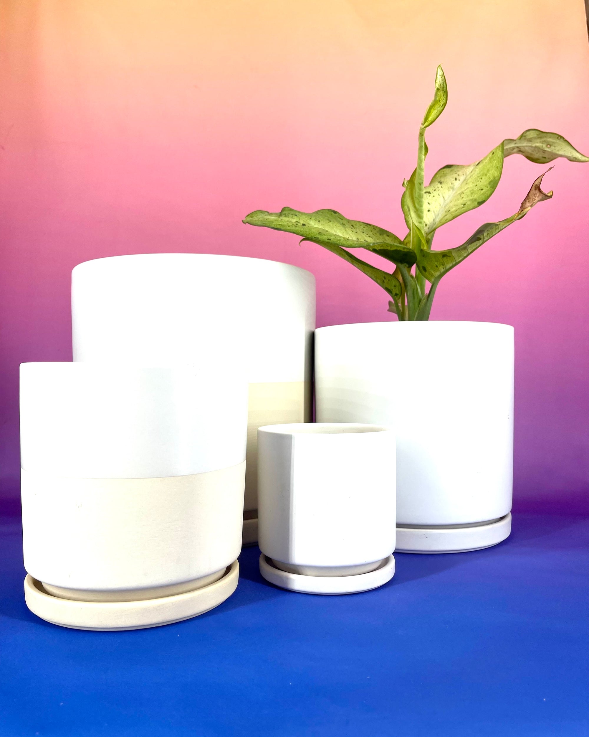Gemstone Porcelain Cylinder - White and Top Half White