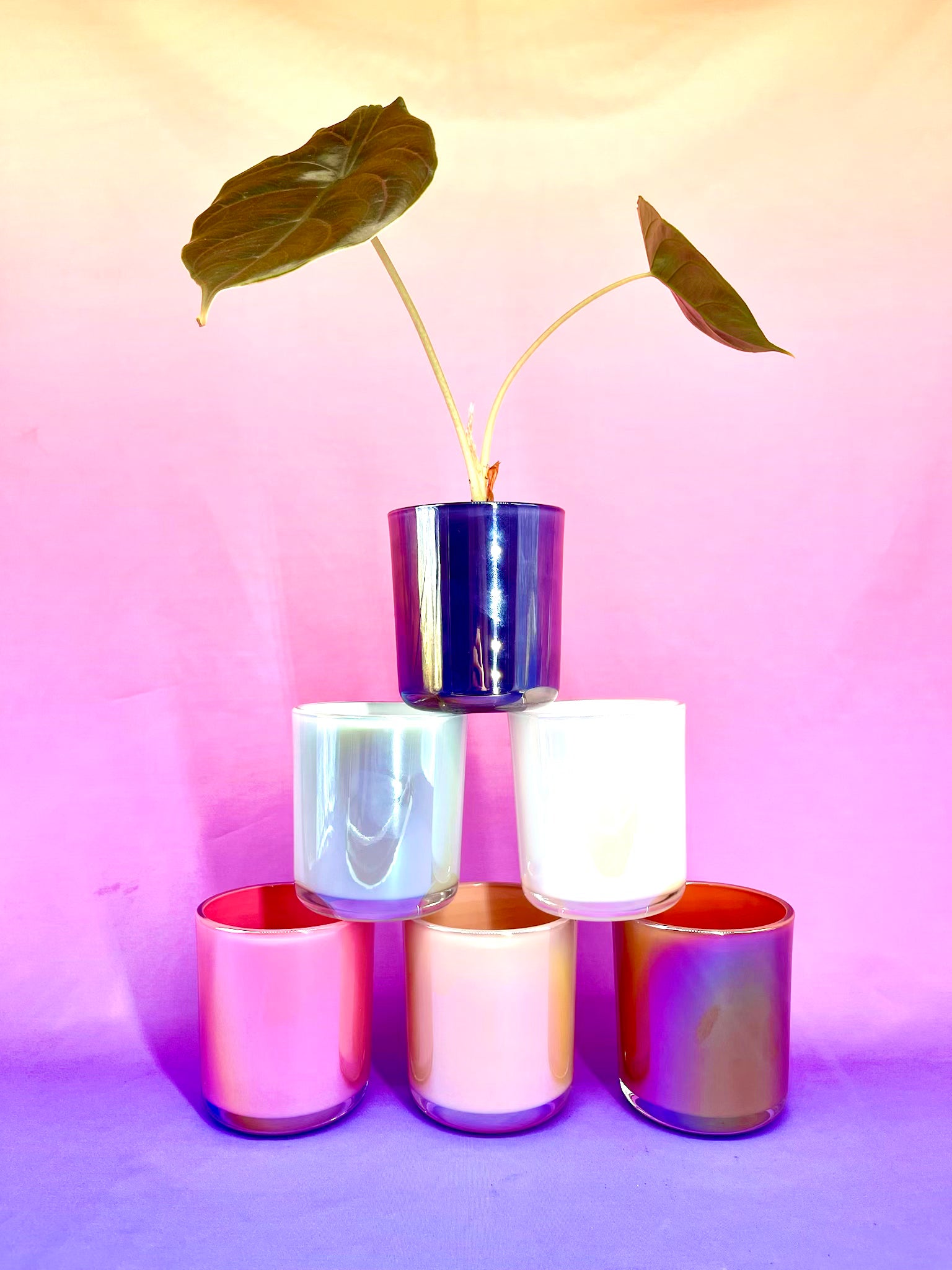 Iridescent Planter / Vase - Pearl