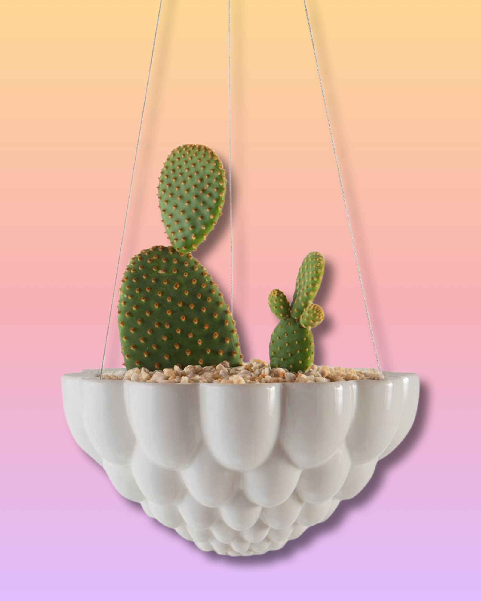 Jelly Hanging Planter - Gray