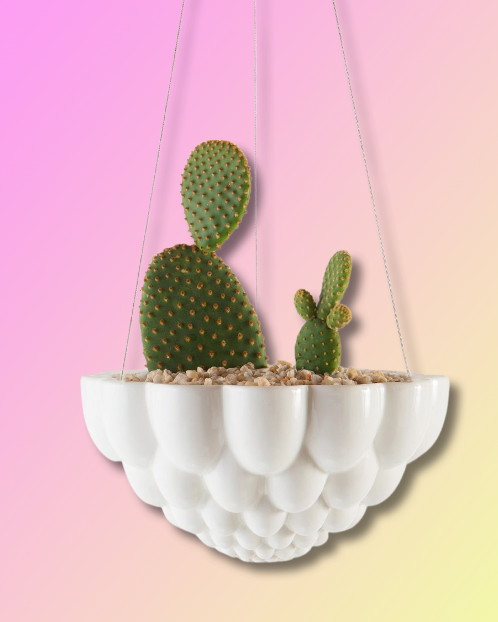 Jelly Hanging Planter - White