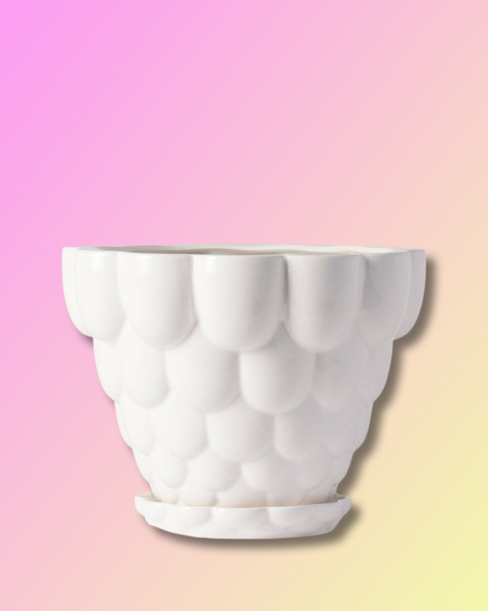 Jelly Planter + Saucer - White