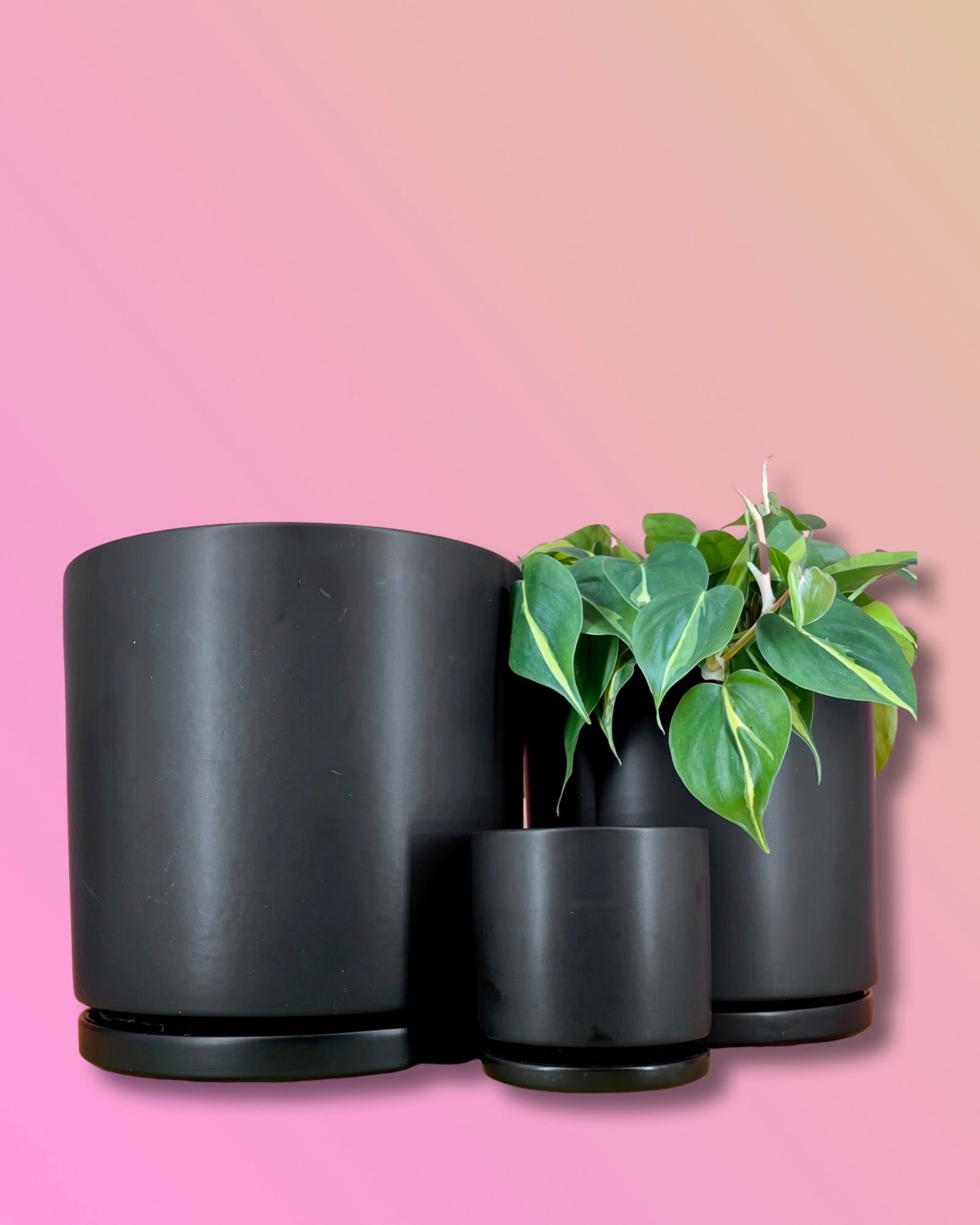Gemstone Porcelain Cylinder - Black