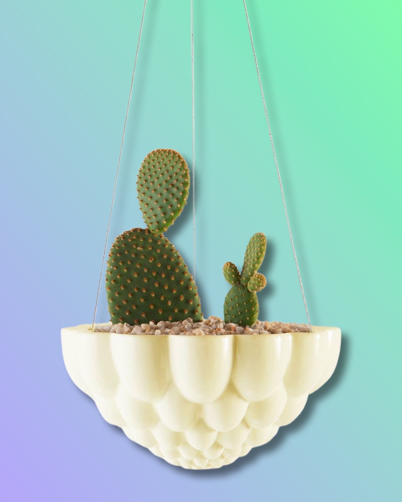 Jelly Hanging Planter - Yellow