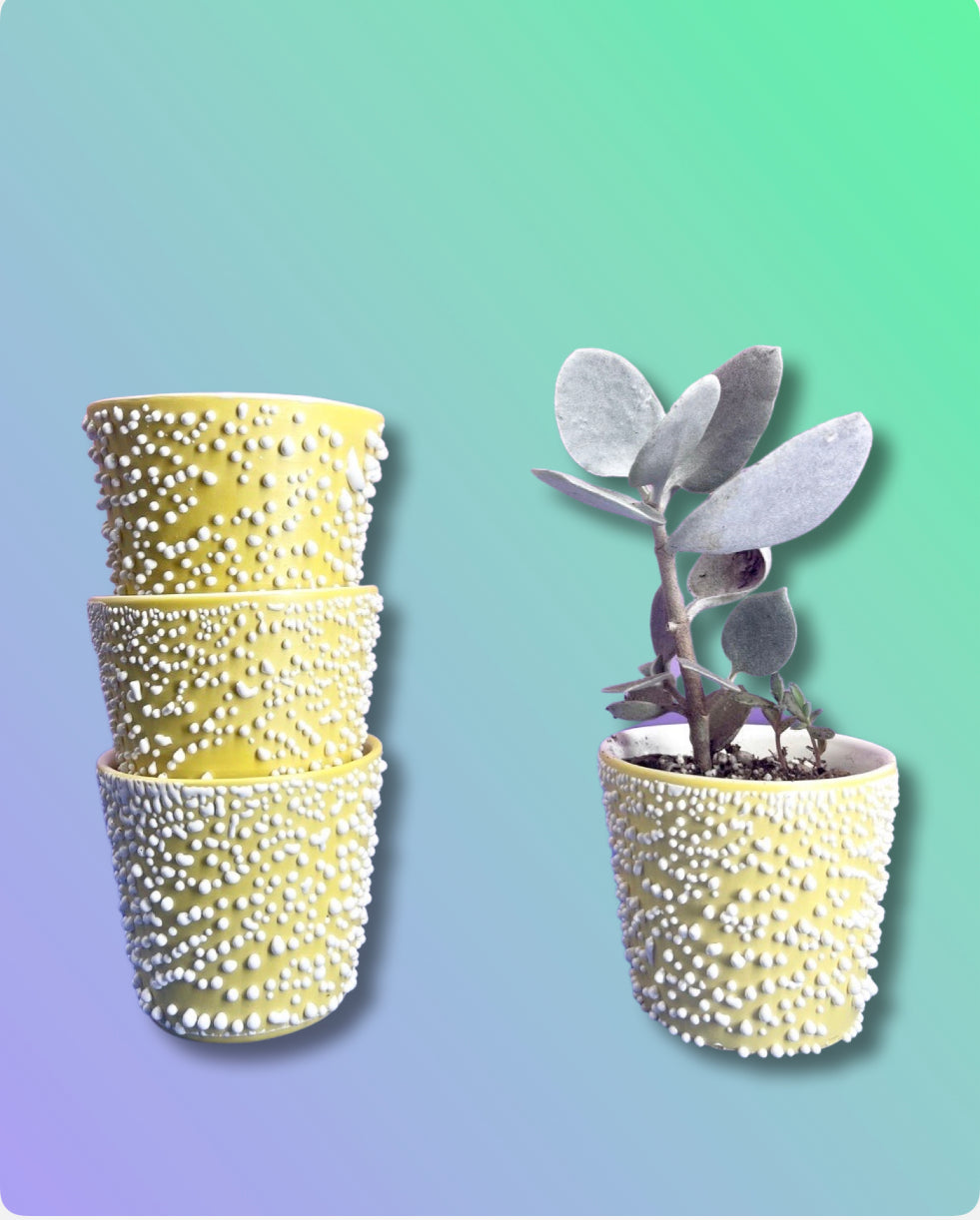 Adhesion Cup Planter - Lemon