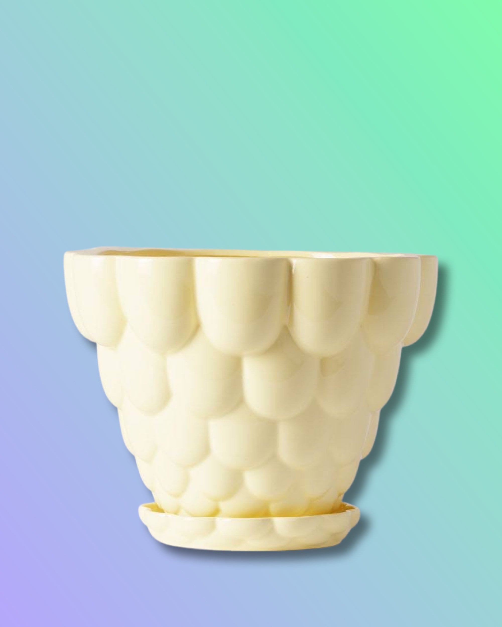Jelly Planter + Saucer - Yellow