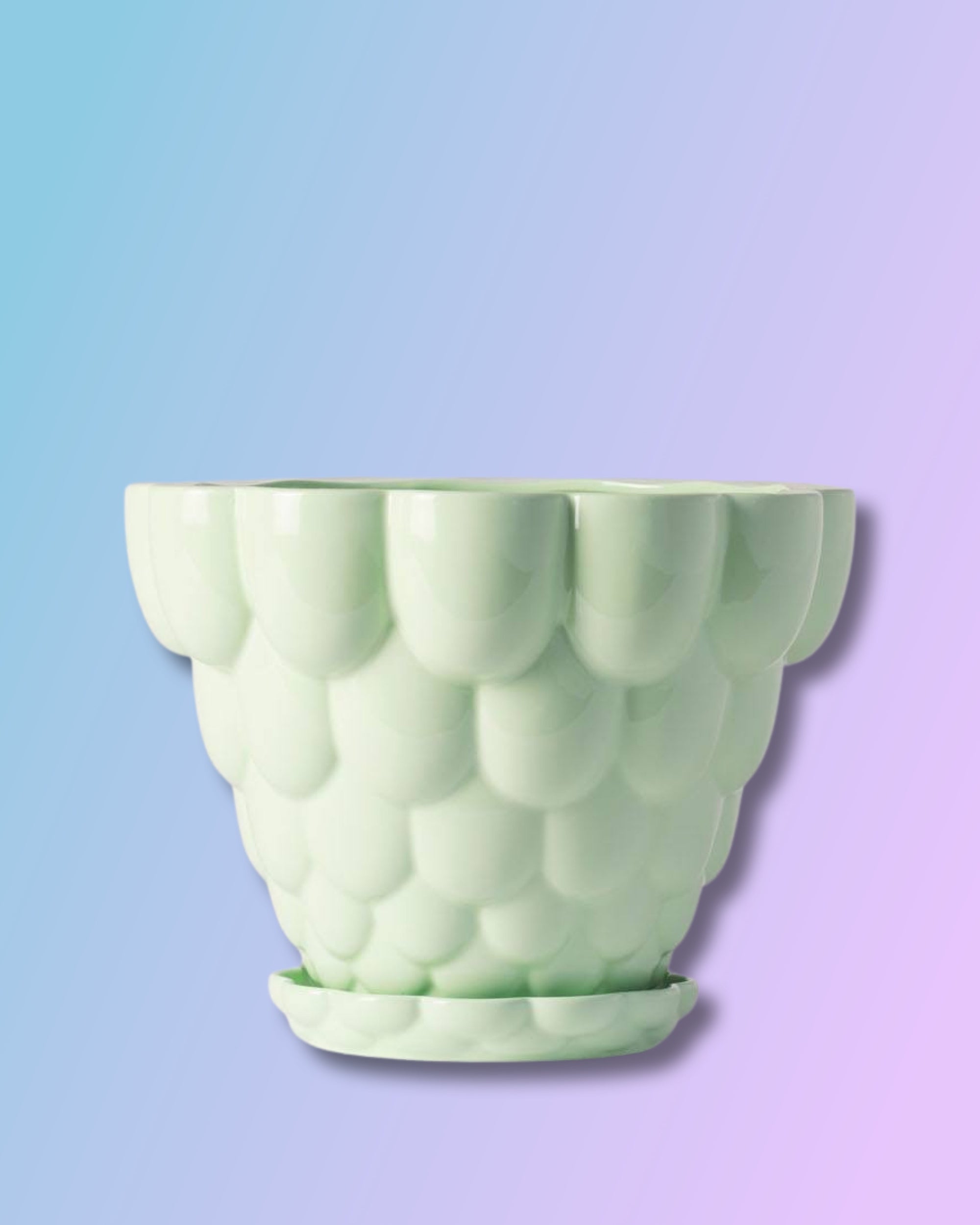 Jelly Planter + Saucer - Green