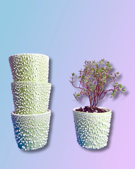 Adhesion Cup Planter - Pistachio
