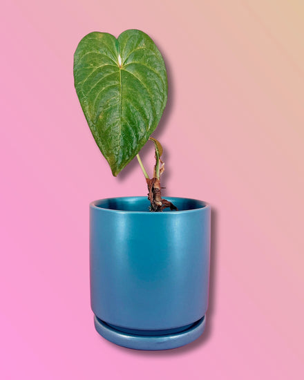 Gemstone Porcelain Cylinder - Teal Blue