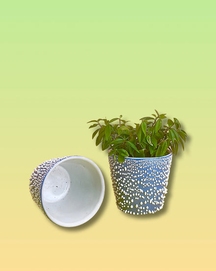 Adhesion Cup Planter - Blueberry