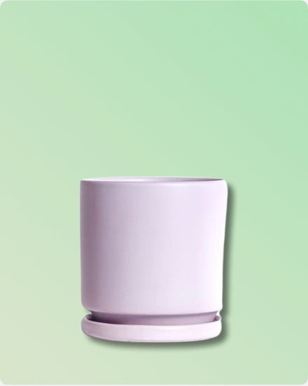 Gemstone Porcelain Cylinder - Lavender