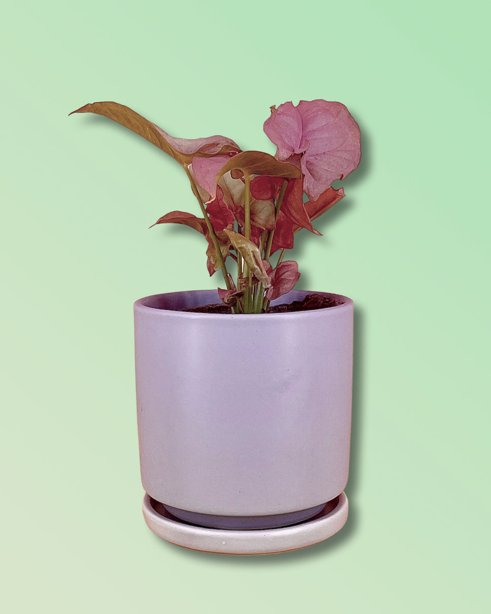 Gemstone Porcelain Cylinder - Lavender