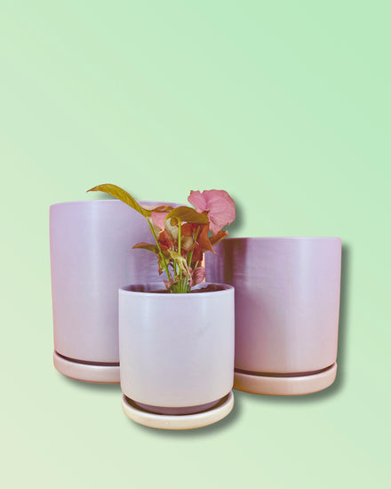 Gemstone Porcelain Cylinder - Lavender