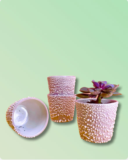 Adhesion Cup Planter - Grape