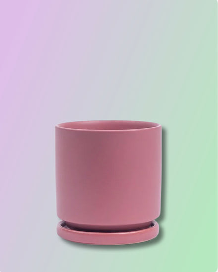 Gemstone Porcelain Cylinder - Dusty Rose