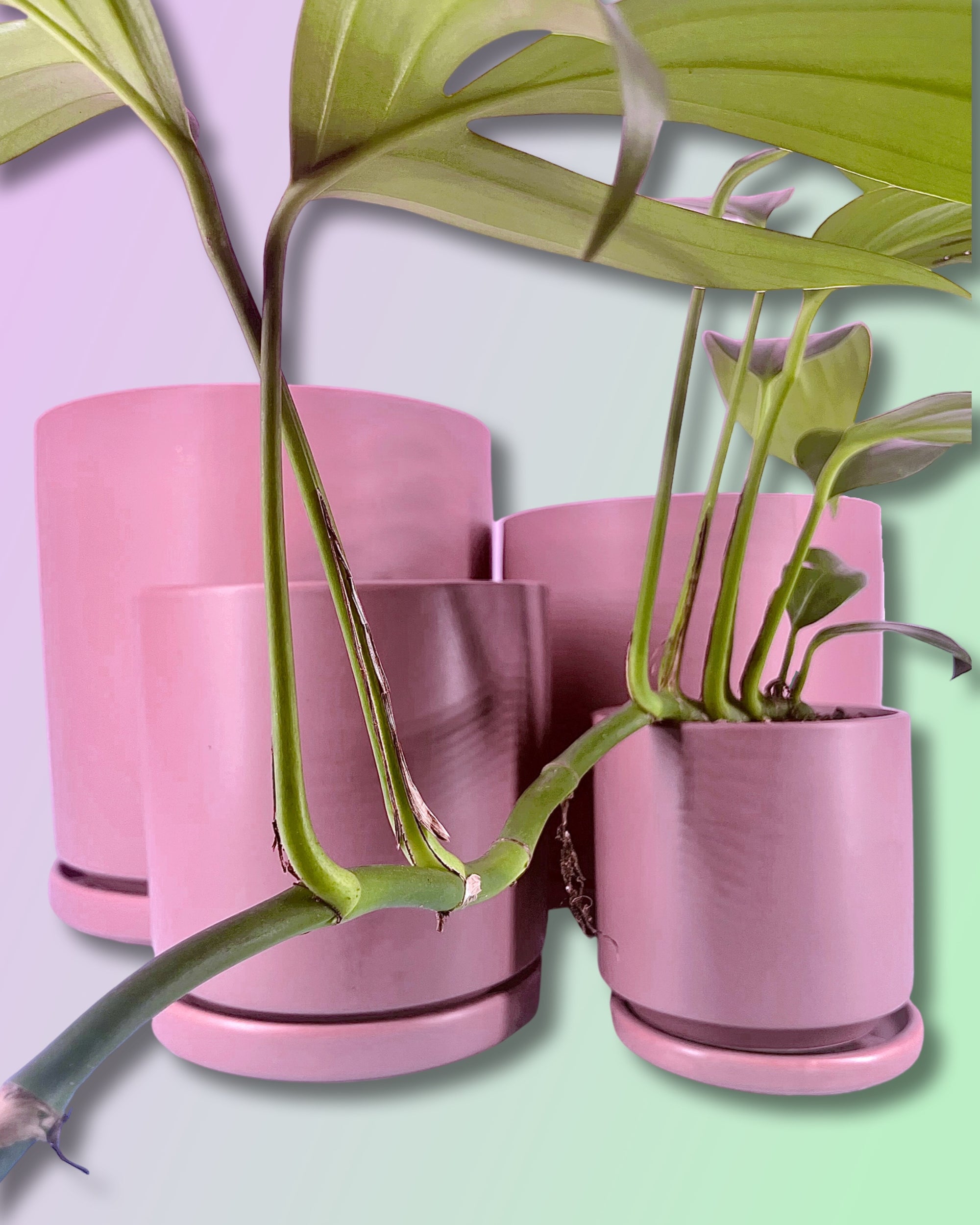 Gemstone Porcelain Cylinder - Dusty Rose