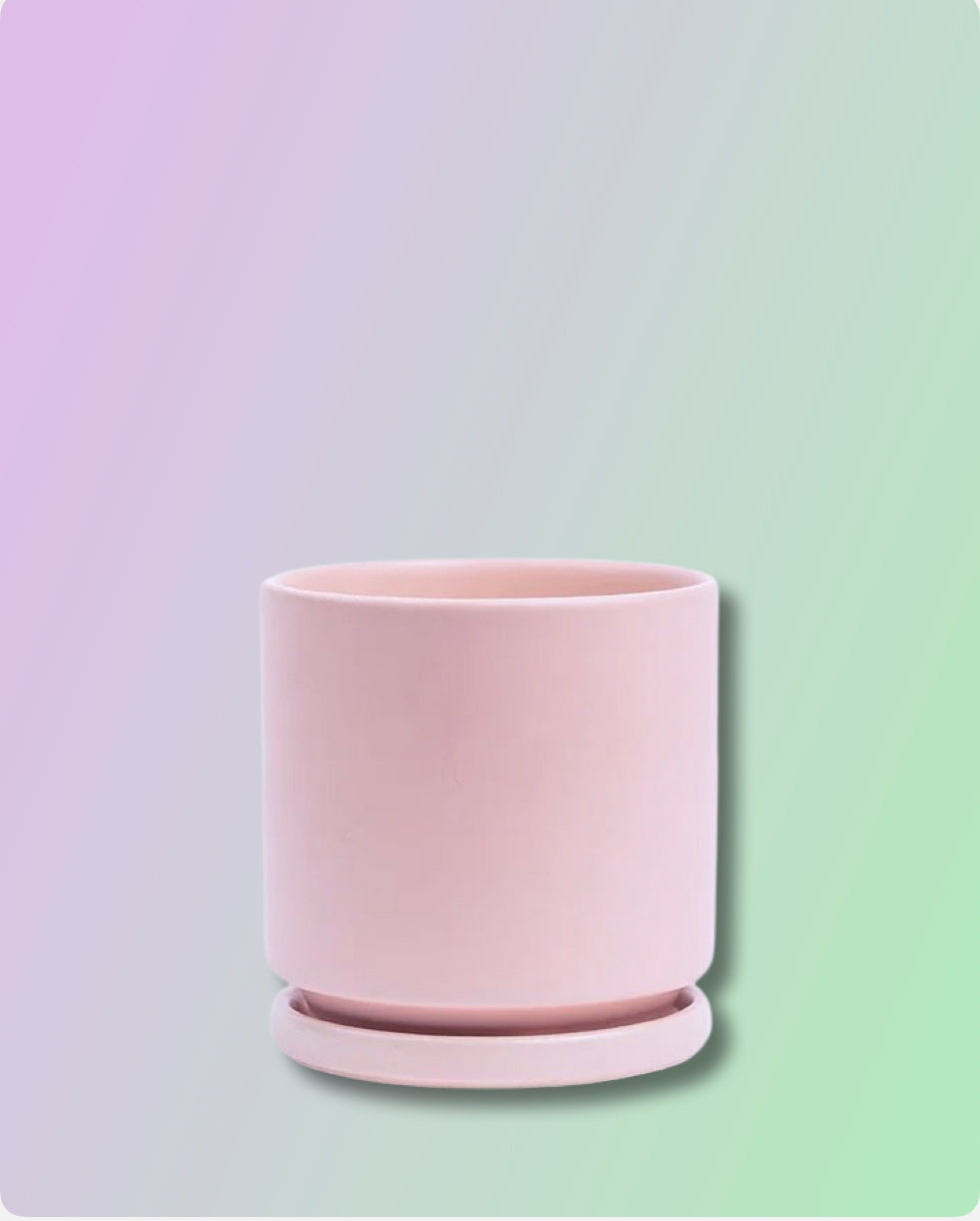 Gemstone Porcelain Cylinder - Blush