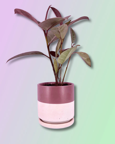 Gemstone Porcelain Cylinder - Top Half Dusty Rose