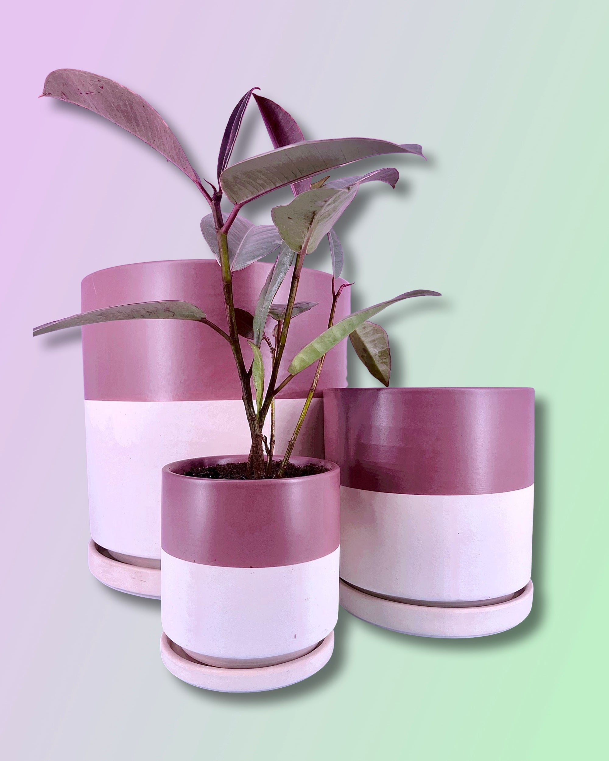 Gemstone Porcelain Cylinder - Top Half Dusty Rose