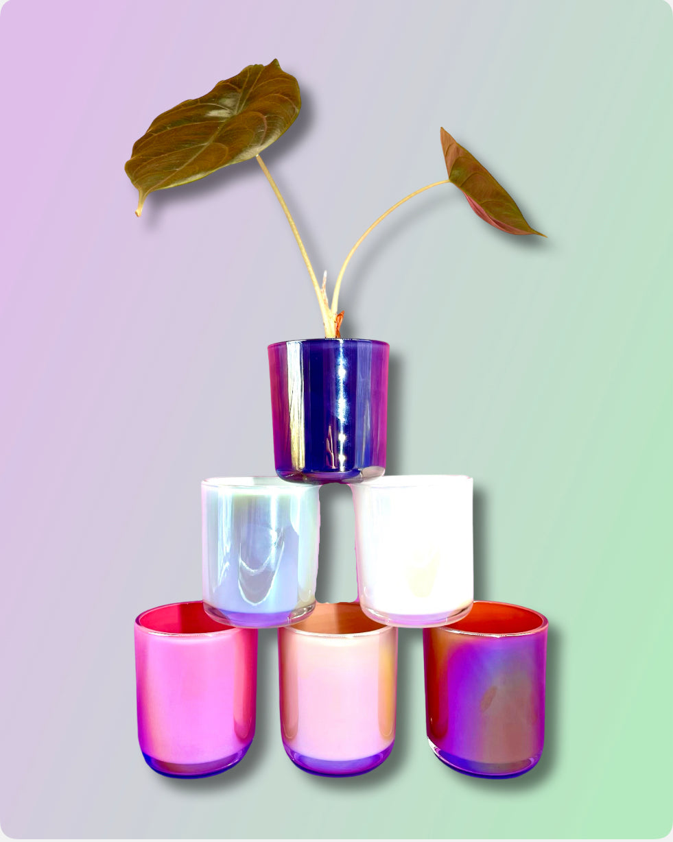 Iridescent Glass Planter - Blush