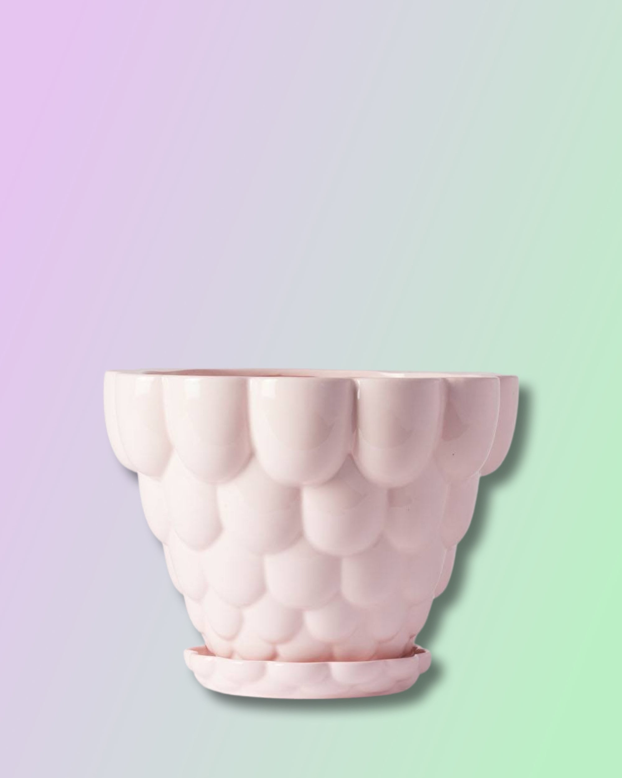 pink planter with saucer Jelly Planter + Saucer