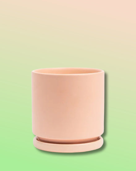Gemstone Porcelain Cylinder - Apricot