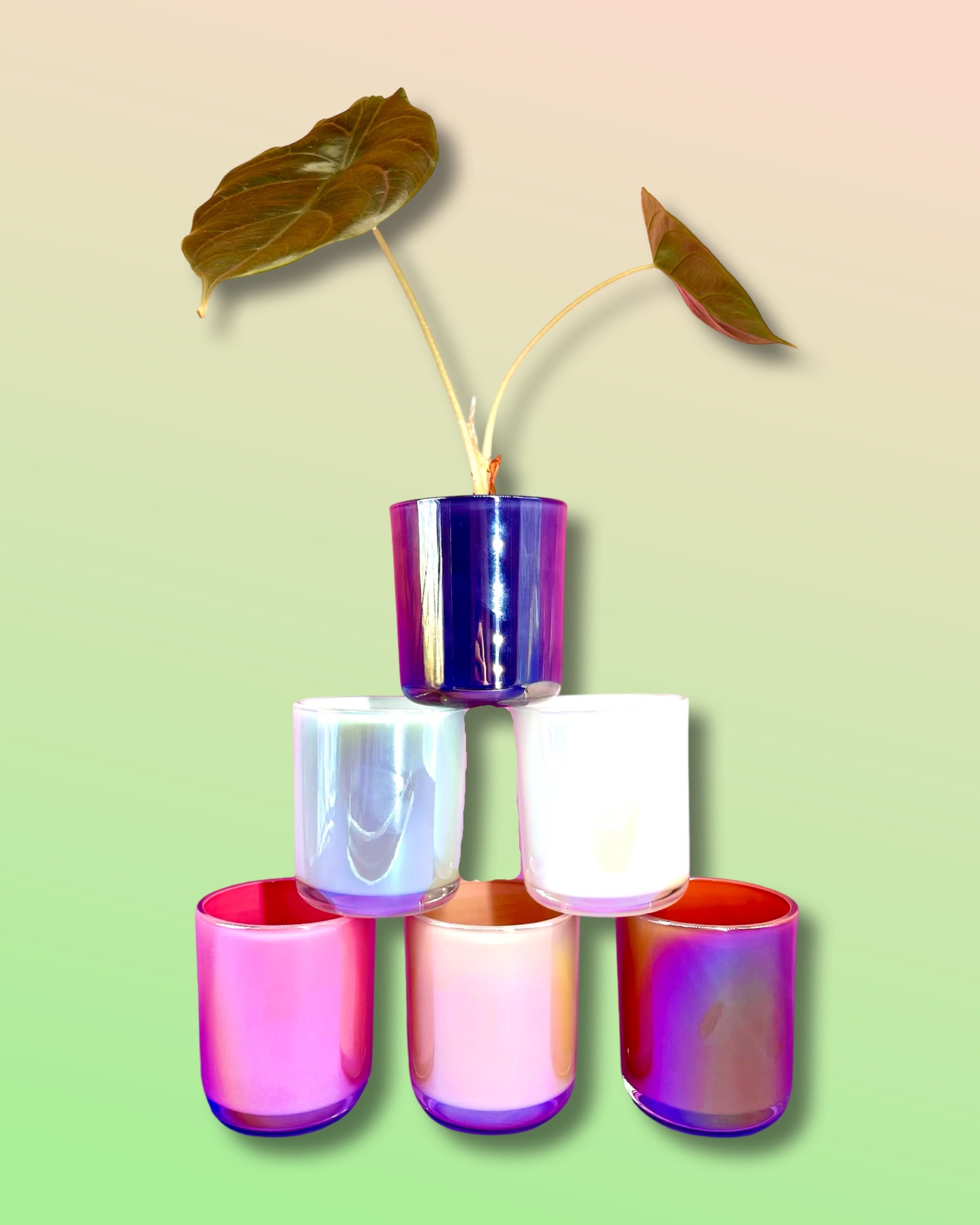 Iridescent Glass Planter - Flamingo