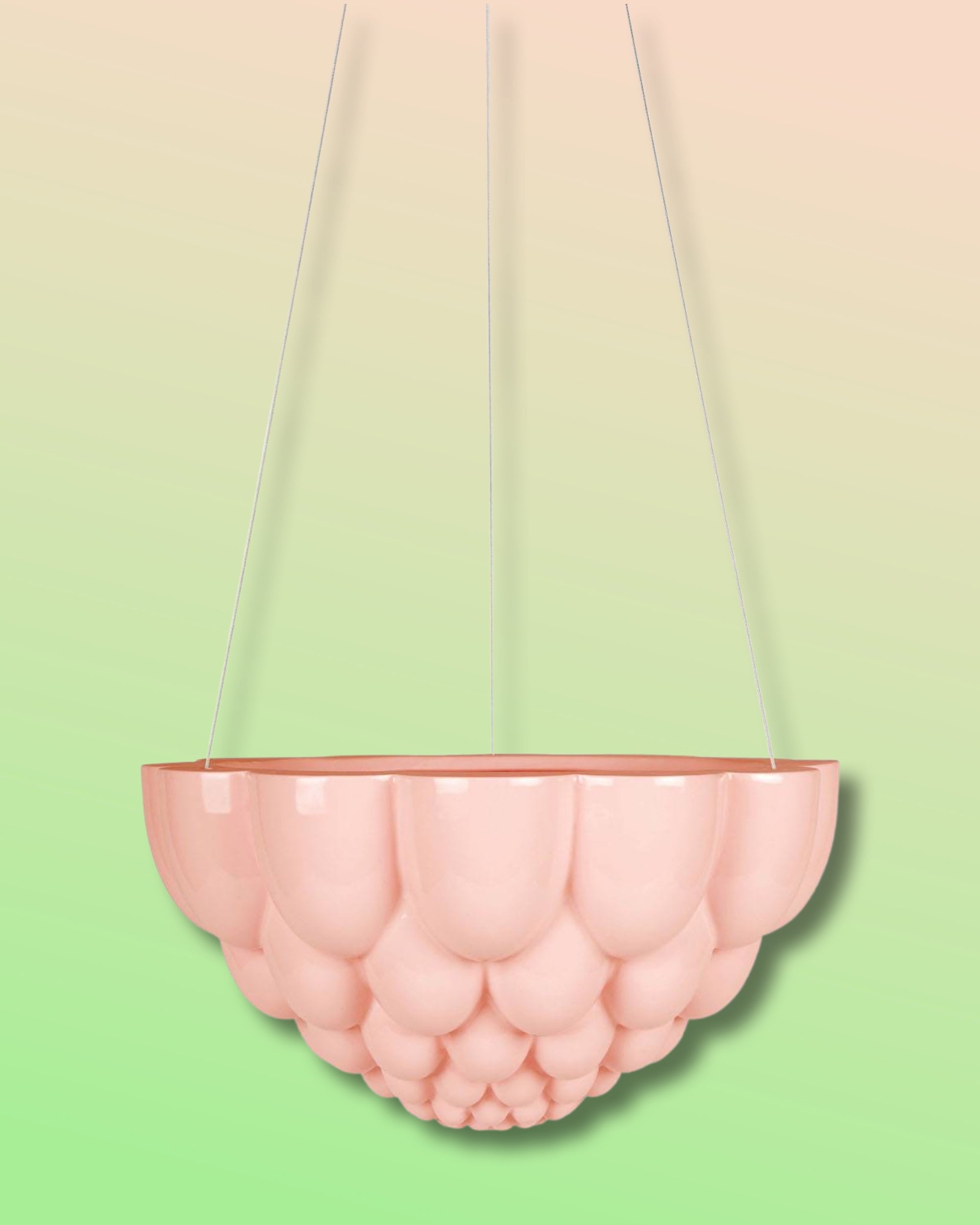 angus and celeste hanging planter Jelly Hanging Planter