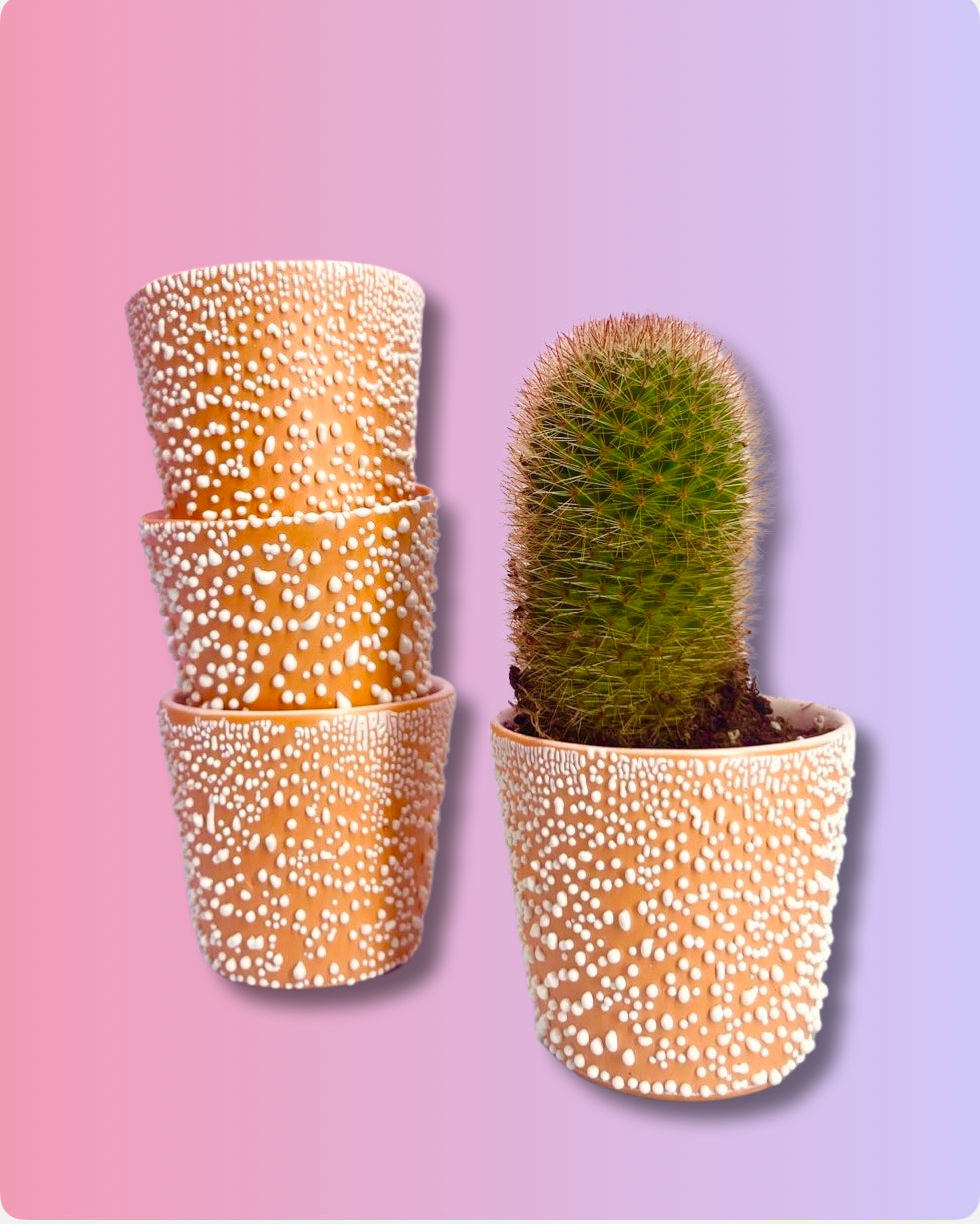 Adhesion Cup Planter - Orange Peel