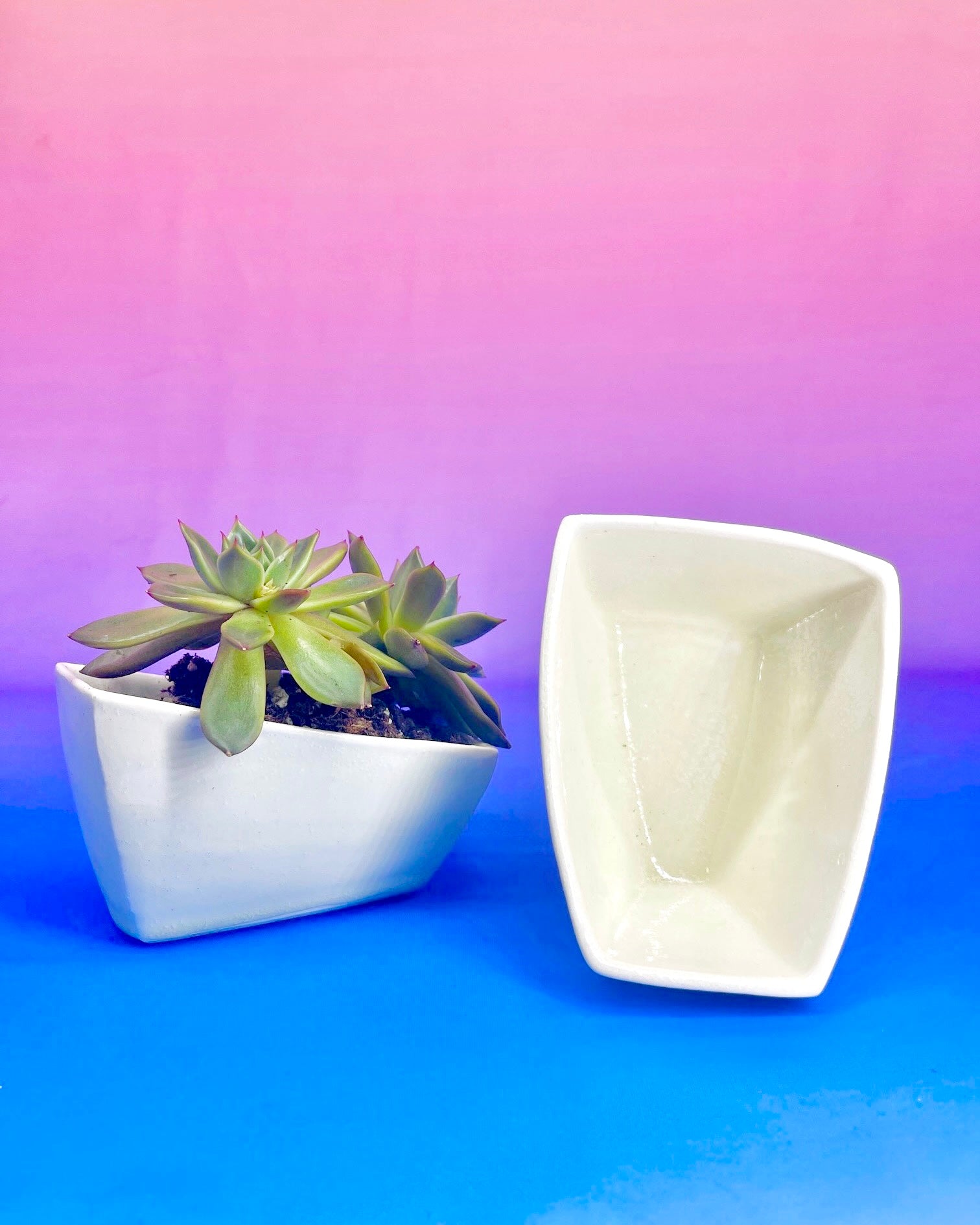 Flock Bowl - Frost