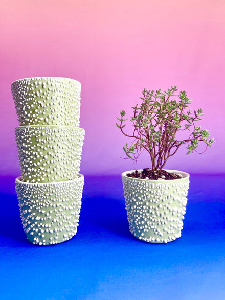 Adhesion Cup Planter - Pistachio